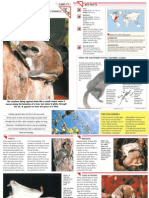 Wildlife Fact File - Mammals - Pgs. 71-80