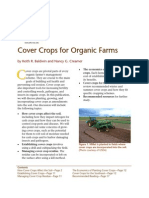 Cover Crops for Organic Farmers