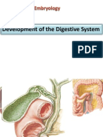 Development of the Digestive System from Foregut to Hindgut