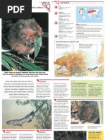 Download Wildlife Fact File - Mammals Pgs 131-140 by ClearMind84 SN122603479 doc pdf