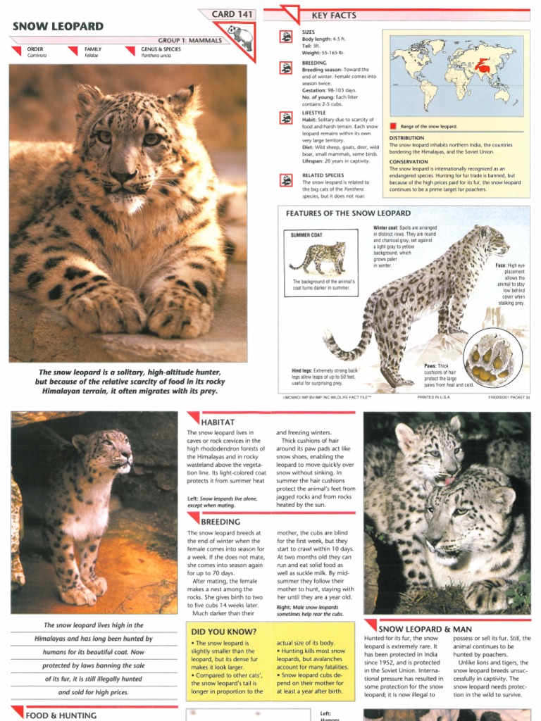 Wildlife Fact File - Mammals, Pgs. 141-150 | Leopard | Horses