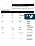 Other Hybrid Big Cats: Only Those Hybrids Which Have Been Assigned Names Are Listed