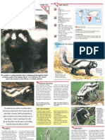 Wildlife Fact File - Mammals, Pgs. 191-200