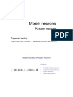 Model Neurons