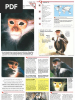 Download Wildlife Fact File - Mammals - Pgs 211-220 by ClearMind84 SN122609346 doc pdf