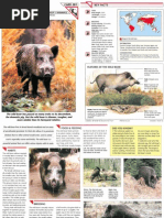 Wildlife Fact File - Mammals Pgs. 281-290