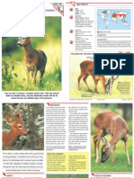 Wildlife Fact File - Mammals Pgs. 291-300