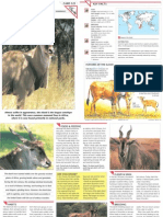 Wildlife Fact File - Mammals Pgs. 321-330