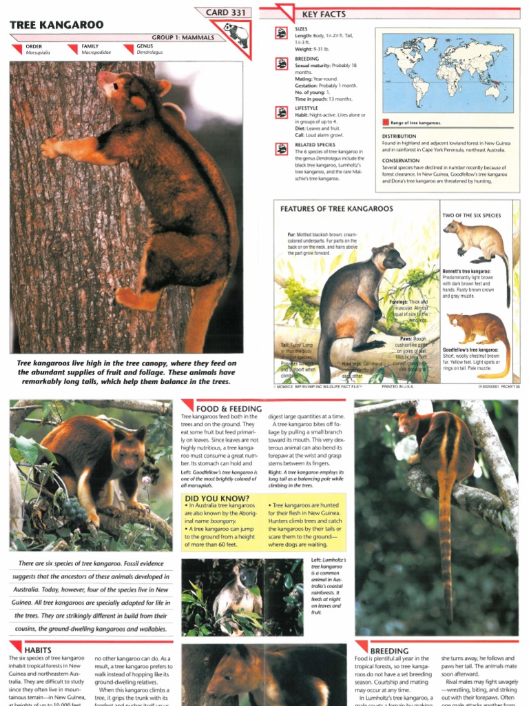 Wildlife Fact File - Mammals Pgs. 331-340 | Pinniped | Nature