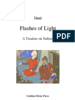 Flashes of Light (Pp 1-20)
