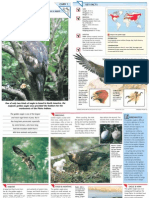 Wildlife Fact File - Birds - 1-10