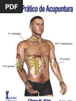 Manual Prático de Acupuntura FRAGMENTOS.pdf