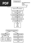 Prostate Cancer Pathophysiology