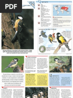 Download Wildlife Fact File - Birds - Pgs 121-130 by ClearMind84 SN122657627 doc pdf