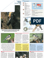 Wildlife Fact File - Birds - Pgs. 121-130