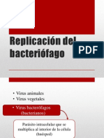 Replicación Del Bacteriófago