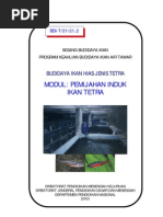 Download Budidaya Ikan Hias Jenis Tetra Pemijahan Induk Tetra by bakrisundanese SN122742599 doc pdf