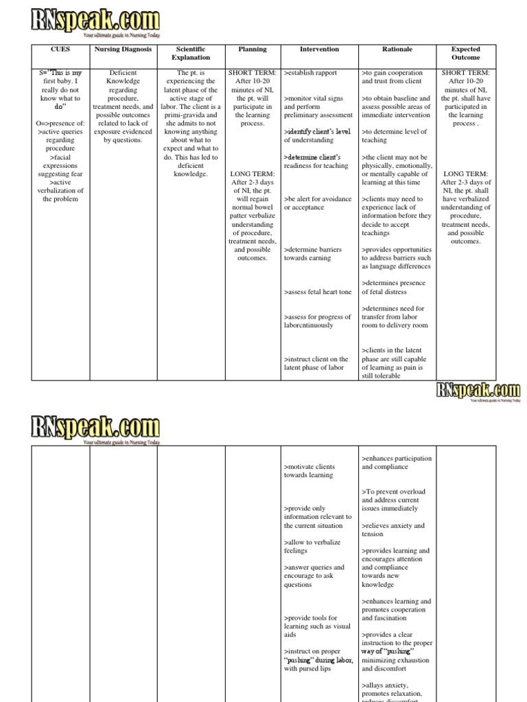 Labor Nursing Care Plan (1)