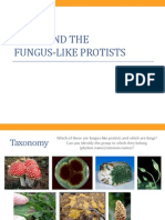BIO1 - Fungi and Funguslike Protists