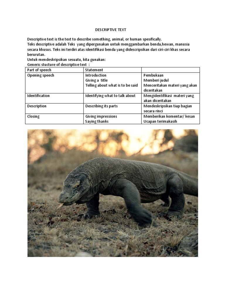 14 Contoh Soal Descriptive Text Animal Kumpulan Contoh Soal