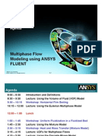 Fluent Adv Multiphase 13.0 Agenda