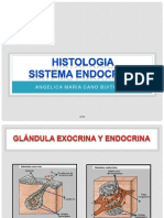 Histologia- Sistema Endocrino Acb - Copia