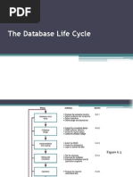 Database Lifecycle