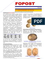 Todo El Abanico de Soluciones para El Almacenamiento de Patata