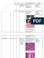 Vasculitides Notes