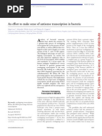 An Effort To Make Sense of Antisense Transcription in Bacteria