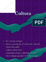 Cultura Sociologie Generala Timpu Carmen1