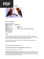 Download Jenis lovebird by Dharul Handri Pranawa SN122786824 doc pdf