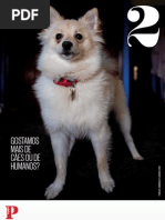 Hagai Amir, Ami Kaufman