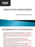 Option Pricing Model