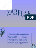 Zar Flar