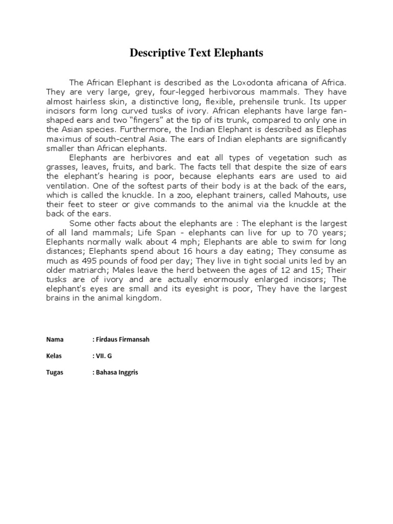 Descriptive Text PDF Elephant Proboscideans