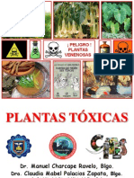 Plantas Toxicas