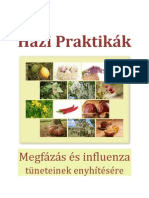 Házi Praktikák Megfázás És Influenza Tüneteinek Enyhítésére