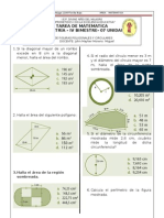 Areas y Poligonos