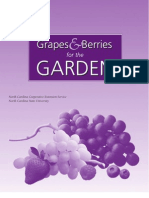 Grapes & Berries for the Garden