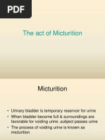 Download Physiology of micturition reflex by Physiology by Dr Raghuveer SN122974830 doc pdf