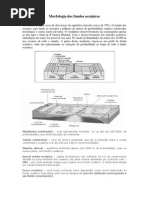Morfologia Dos Fundos Oceanicos