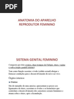 Anatomia Do Aprelho Reprodutor Feminino