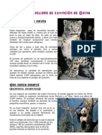 Especies en Peligro de Extinción de China PDF