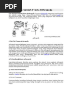 Download Ciri-Ciri Dan Contoh Filum Arthropoda by Latifah Ramadhana M E SN123039939 doc pdf