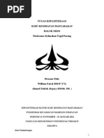 BALOK SKDN BALOK SKDN