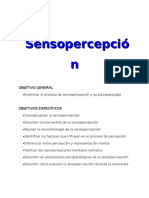 Sensopercepci+¦n