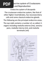 Download Neuroendocrine of Crustacea by Anirudh Acharya SN123066676 doc pdf
