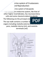 Download Neuroendocrine of Crustacea by Anirudh Acharya SN123066676 doc pdf