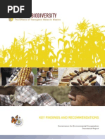 Download Maize  Biodiversity by CayoBuay SN123091599 doc pdf